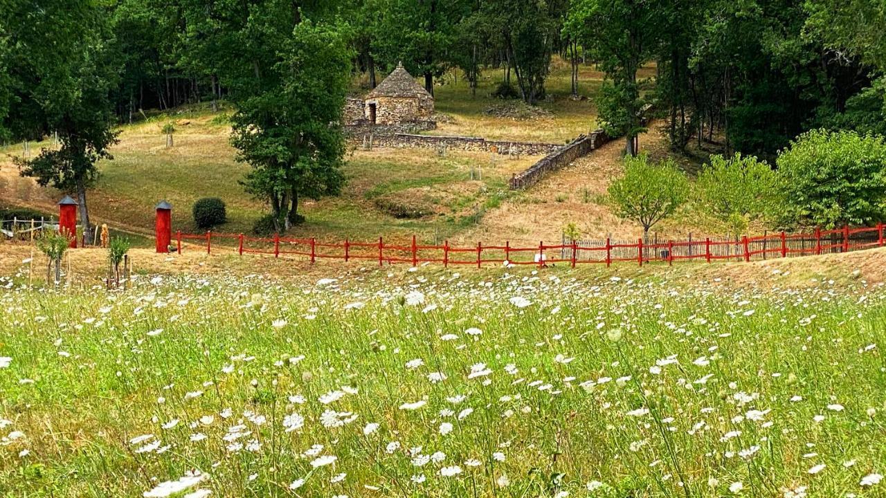 Eco-Hameau Du Sentier Des Sources Vila Sarlat-la-Canéda Exterior foto