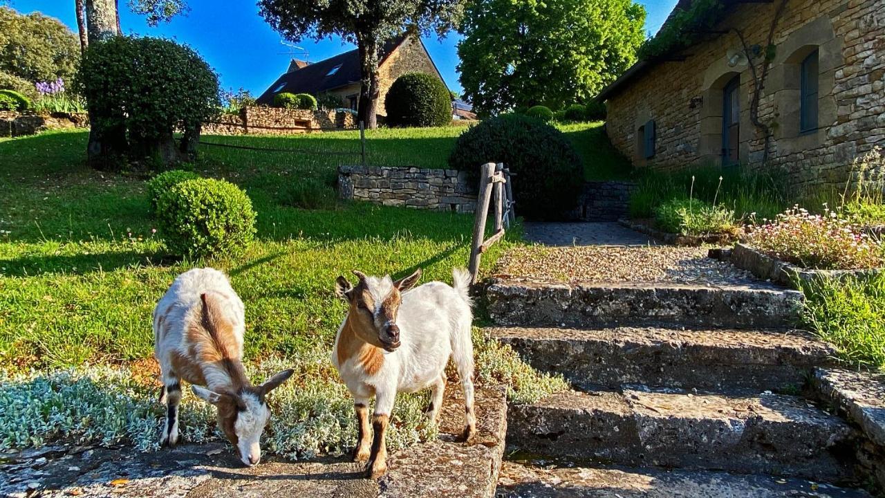 Eco-Hameau Du Sentier Des Sources Vila Sarlat-la-Canéda Exterior foto